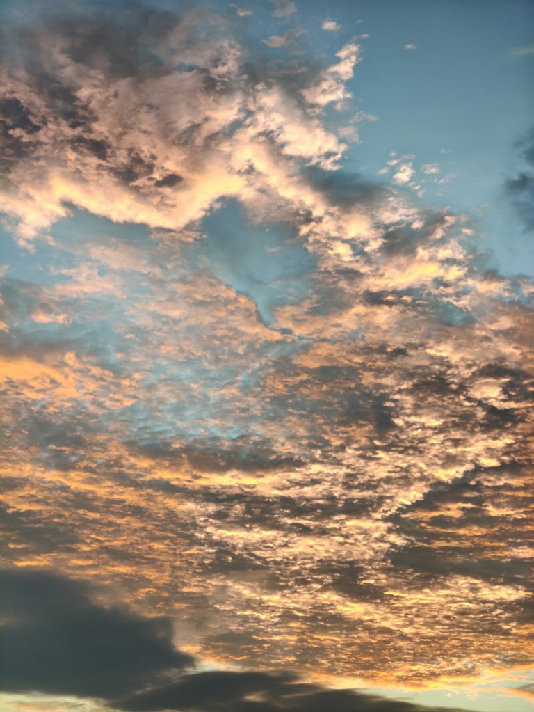 Graceful Gaze 【仰望】